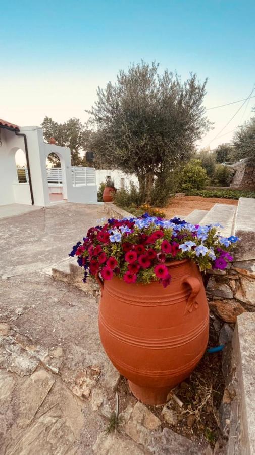 Ferienwohnung Grand House Agios Nikolaos Exterior foto